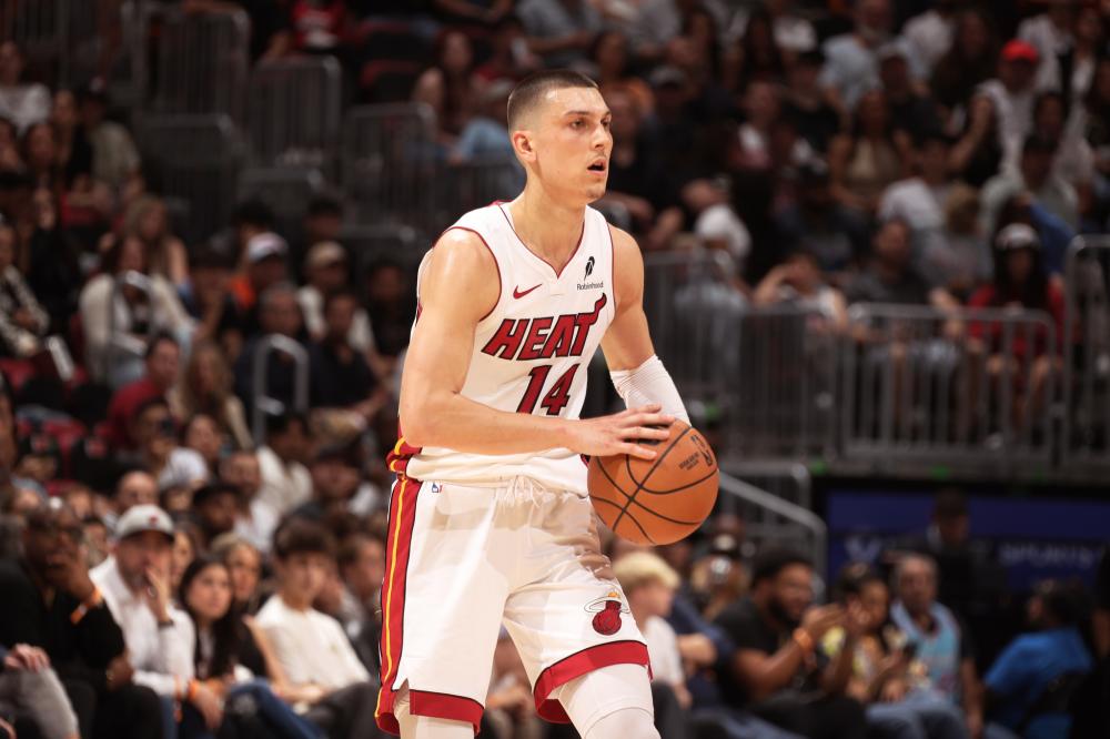 革的一部分 革的一部分